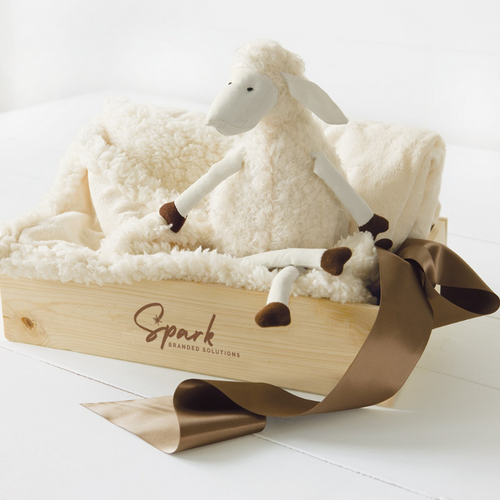 Baby Gift - Lulu Lamb & Blankie